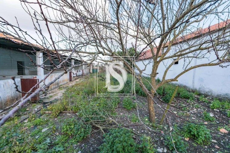 Quinta T3 para Venda em Poceirão e Marateca Foto 24