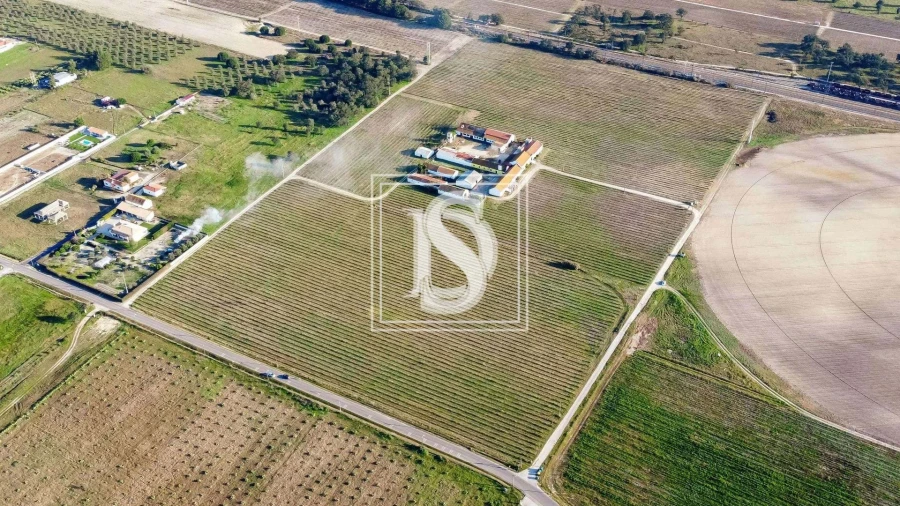 Quinta T3 para Venda em Poceirão e Marateca Foto 23