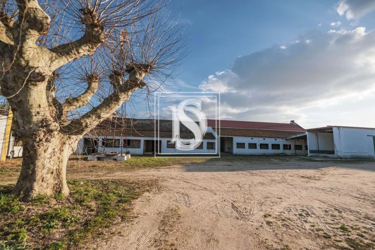 Quinta T3 para Venda em Poceirão e Marateca Foto 5