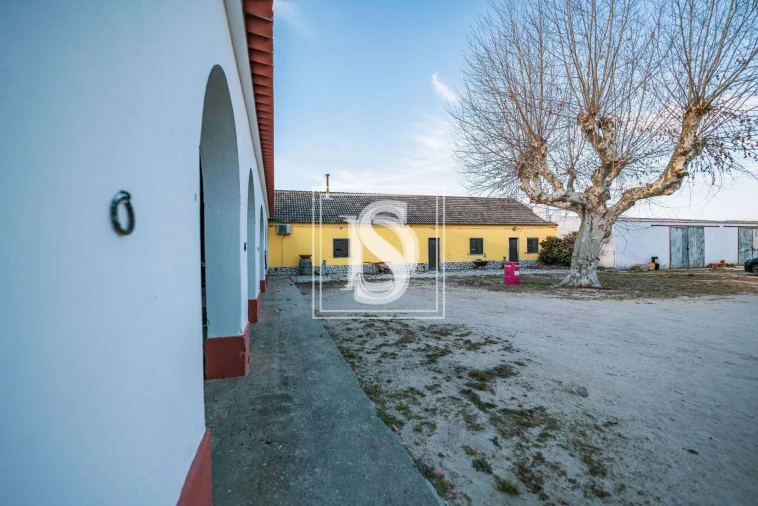 Quinta T3 para Venda em Poceirão e Marateca Foto 14