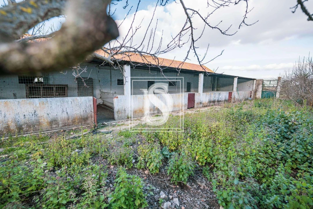 Quinta T3 para Venda em Poceirão e Marateca Foto 21