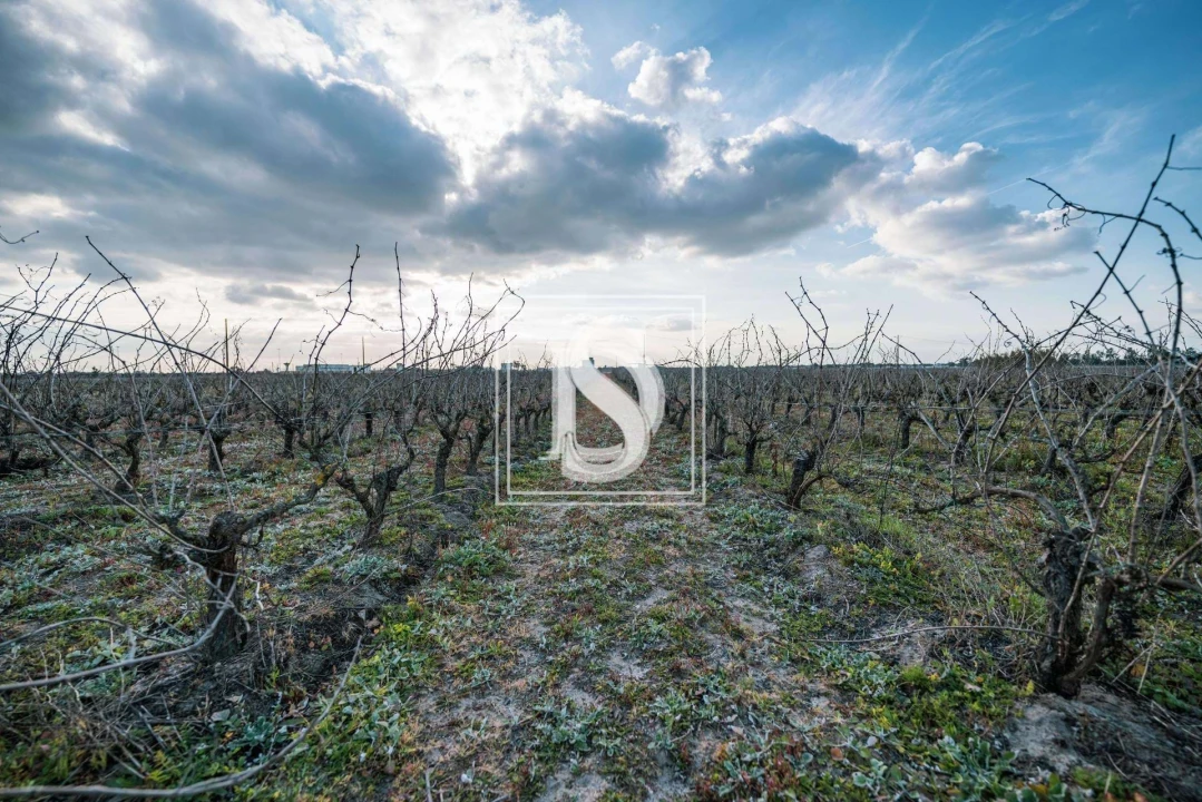 Quinta T3 para Venda em Poceirão e Marateca Foto 9