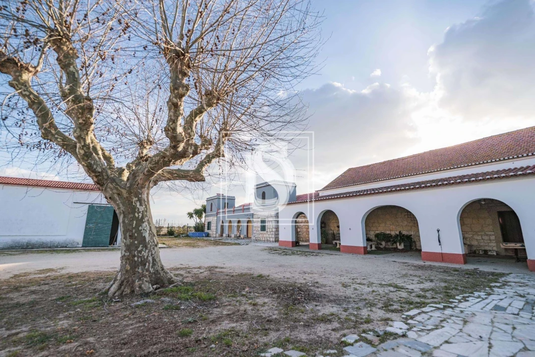 Quinta T3 para Venda em Poceirão e Marateca Foto 4