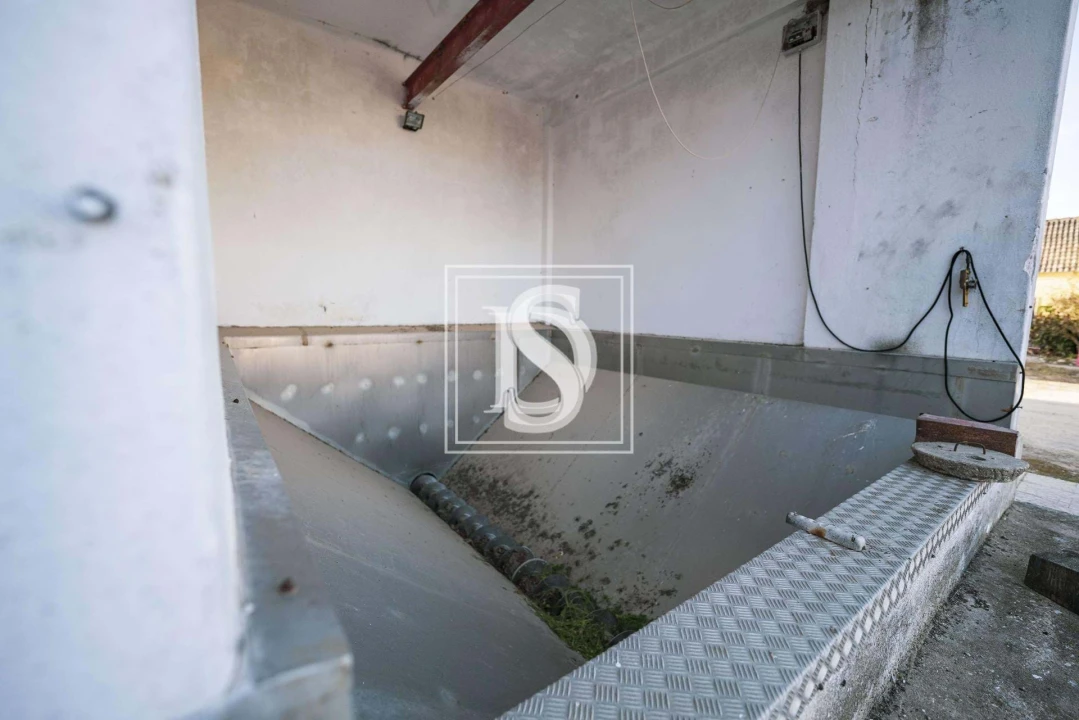 Quinta T3 para Venda em Poceirão e Marateca Foto 19