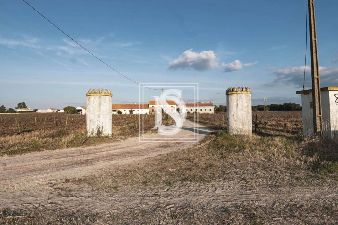 Quinta T3 para Venda em Poceirão e Marateca Foto 20