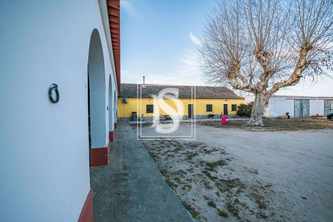 Quinta T3 para Venda em Poceirão e Marateca Foto 14