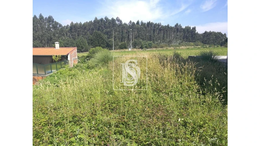 Terreno para Venda em Aguas Santas Foto 5