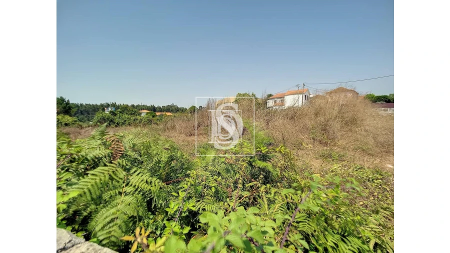 Terreno para Venda em Aguas Santas Foto 7