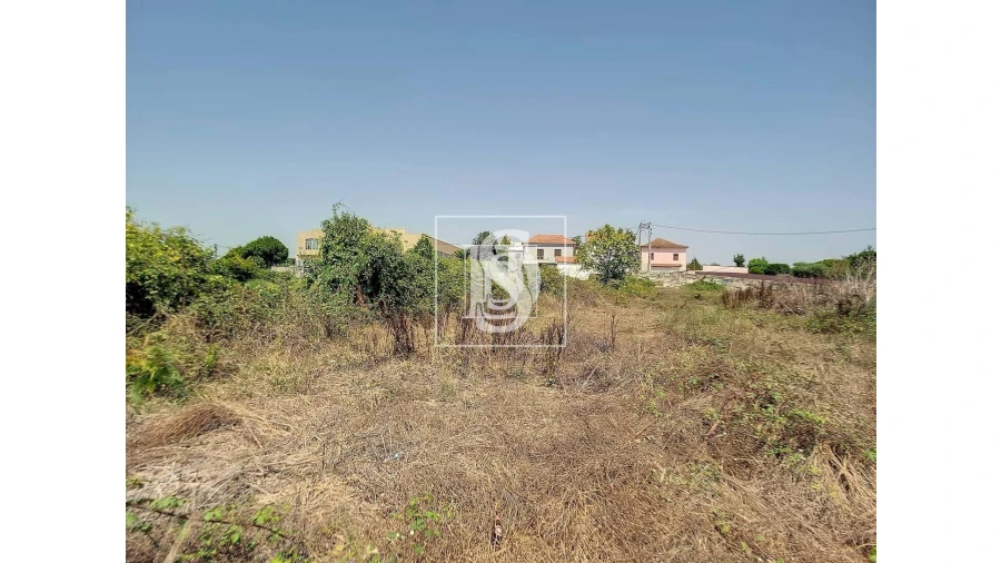 Terreno para Venda em Aguas Santas Foto 9