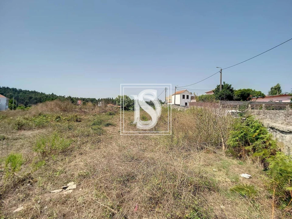 Terreno para Venda em Aguas Santas Foto 14