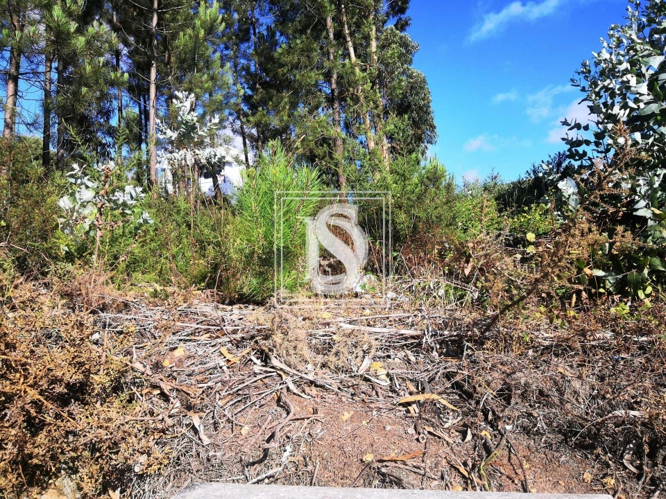 Terreno para Venda em Alfena Foto 7