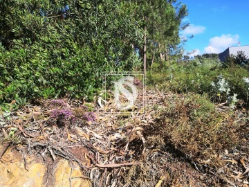 Terreno para Venda em Alfena