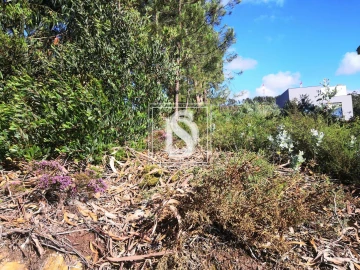Terreno para Venda em Alfena