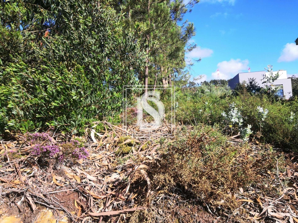 Terreno para Venda em Alfena Foto 10