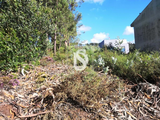 Terreno para Venda em Alfena Foto 9