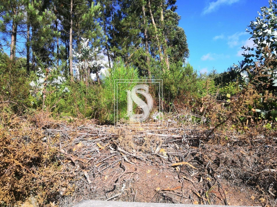 Terreno para Venda em Alfena Foto 8