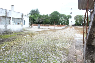 Terreno para Venda em Montijo e Afonsoeiro
