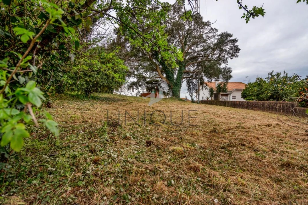 Terreno para Venda em Salreu Foto 12