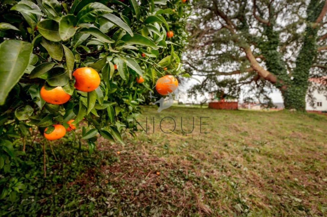 Terreno para Venda em Salreu Foto 4