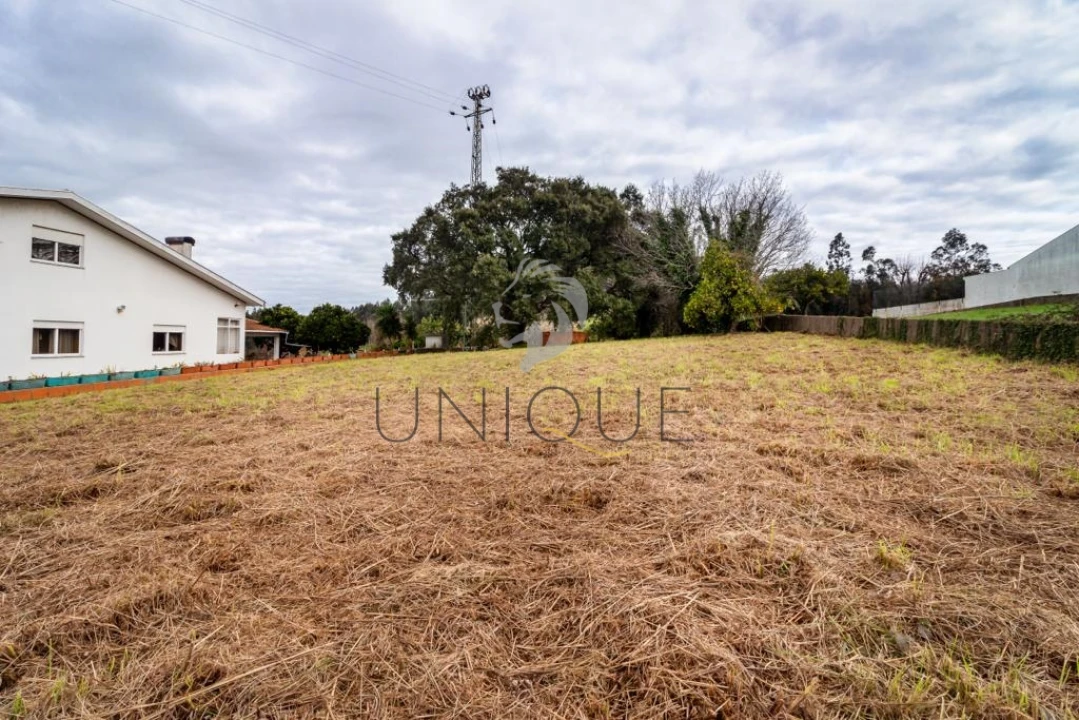 Terreno para Venda em Salreu Foto 8