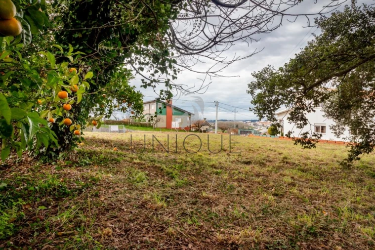 Terreno para Venda em Salreu Foto 10