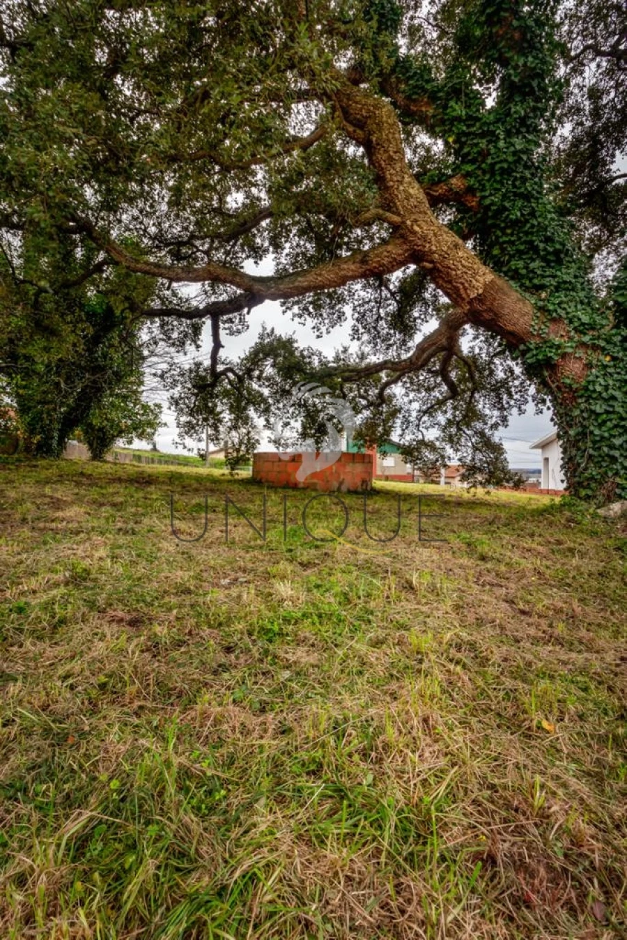 Terreno para Venda em Salreu Foto 9