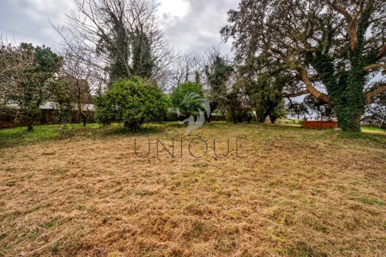 Terreno para Venda em Salreu Foto 7