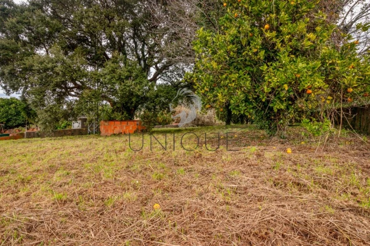 Terreno para Venda em Salreu Foto 5