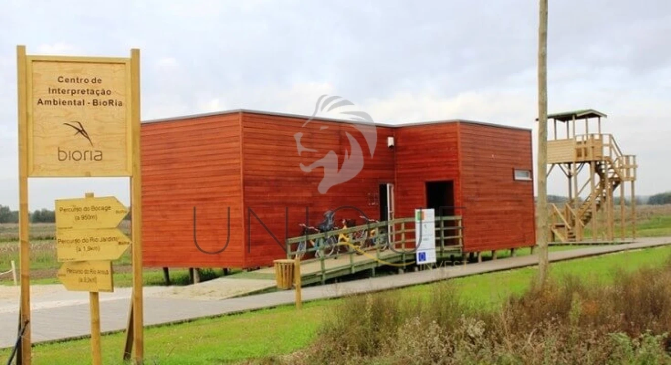 Terreno para Venda em Salreu Foto 19