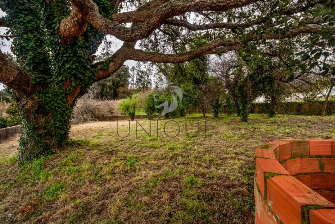 Terreno para Venda em Salreu Foto 3