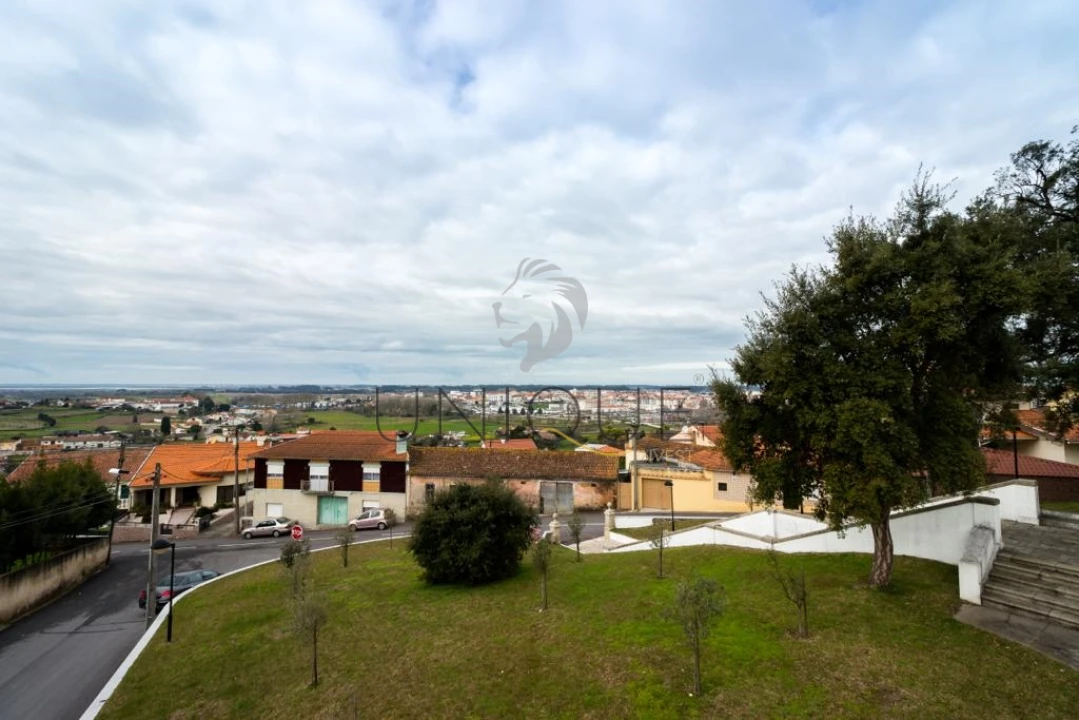 Terreno para Venda em Salreu Foto 14