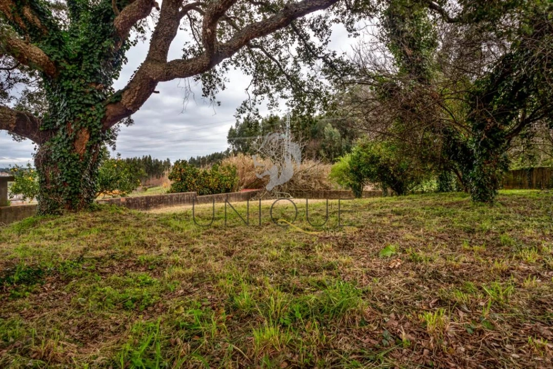 Terreno para Venda em Salreu Foto 6
