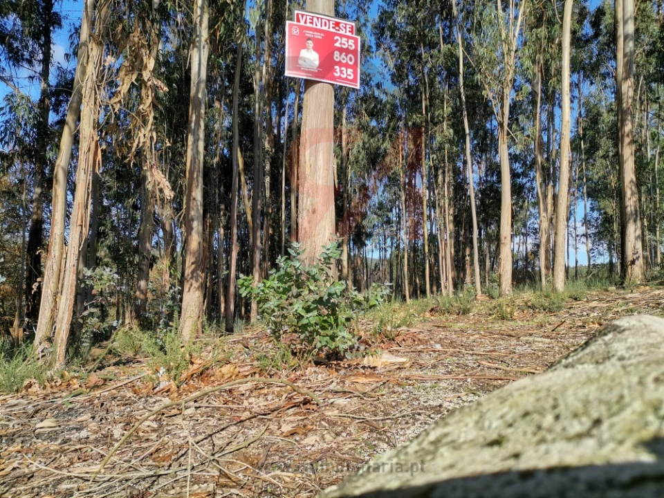 Terreno para Venda em Meixomil Foto 10