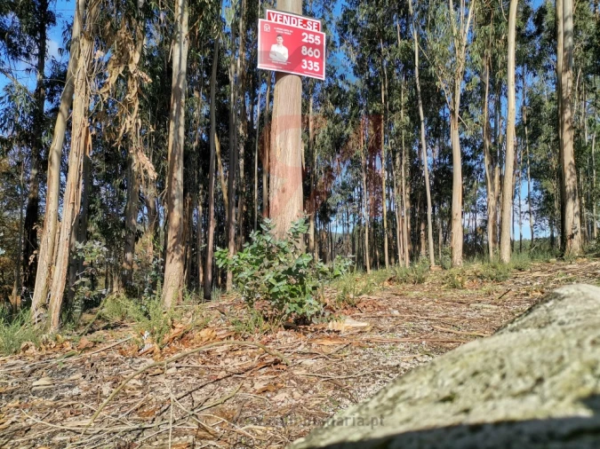Terreno para Venda em Meixomil Foto 10