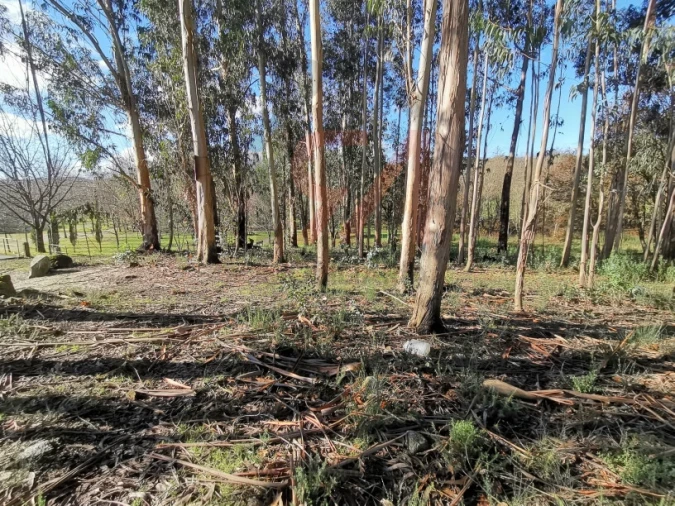 Terreno para Venda em Meixomil Foto 8