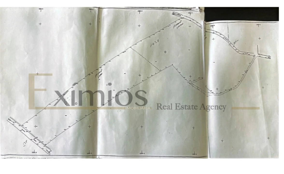 Terreno Agricola ou Rústico para Venda em Rates Foto 5