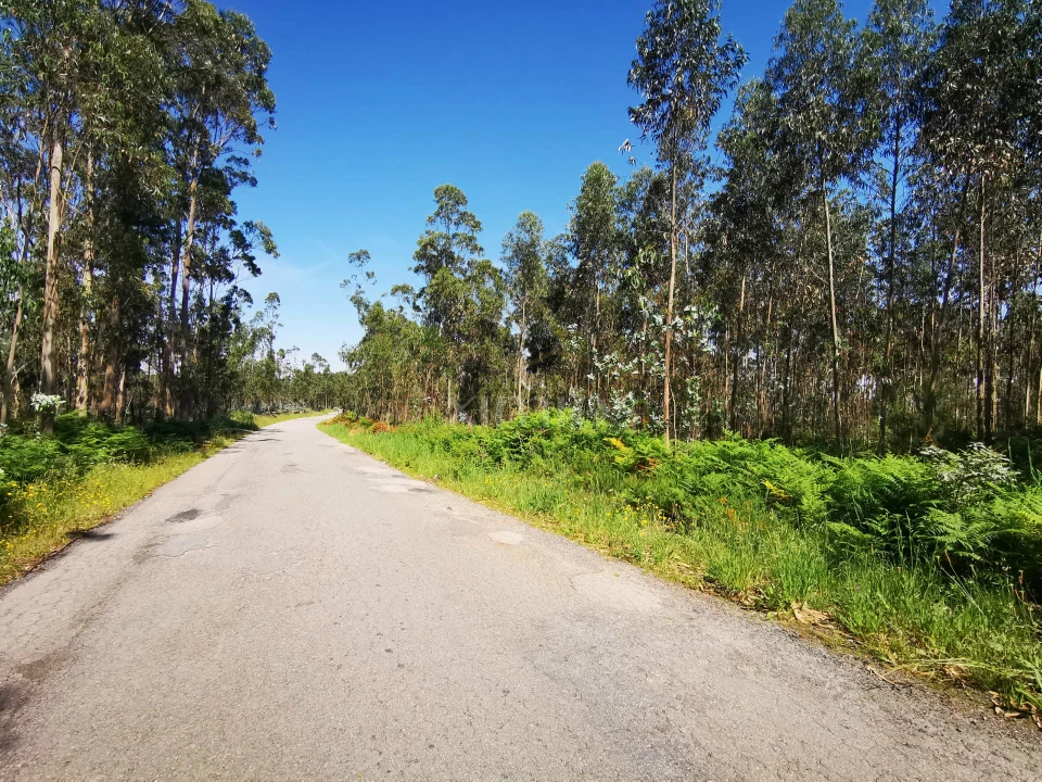 Terreno Agricola ou Rústico para Venda em Rates Foto 3