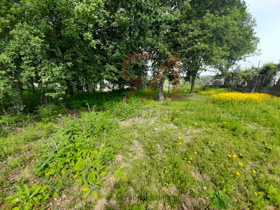 Terreno para Venda em Nespereira e Casais Foto 3