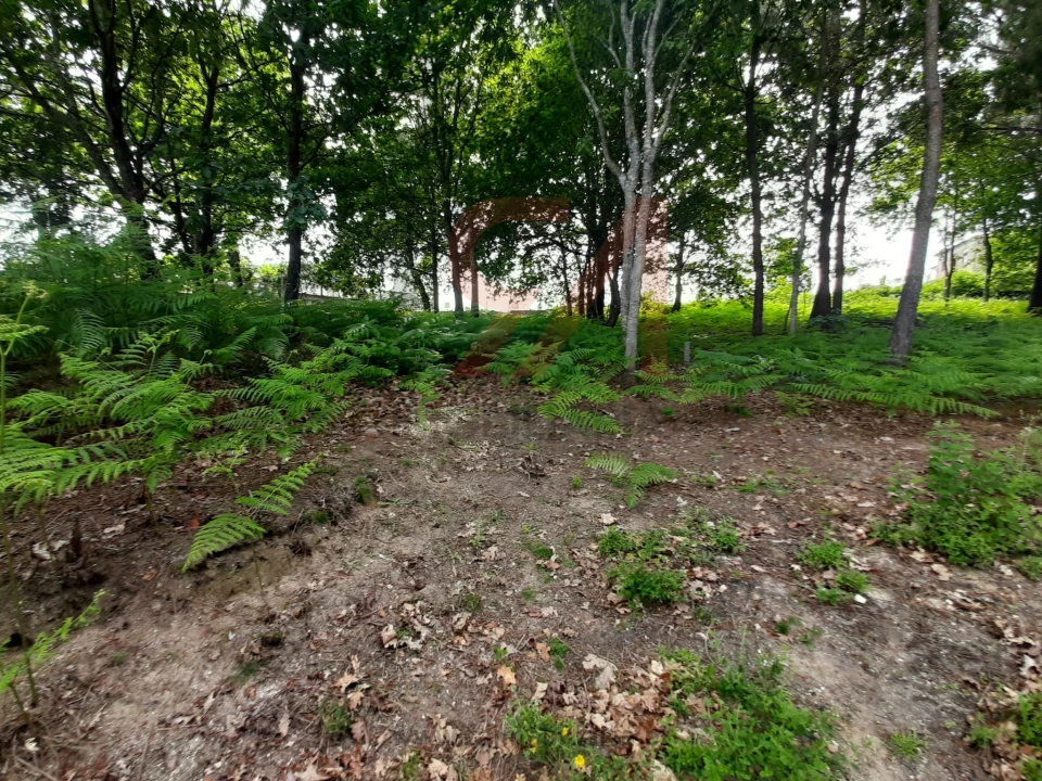 Terreno para Venda em Nespereira e Casais Foto 6