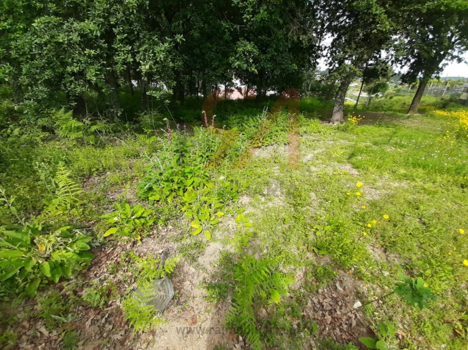 Terreno para Venda em Nespereira e Casais Foto 5