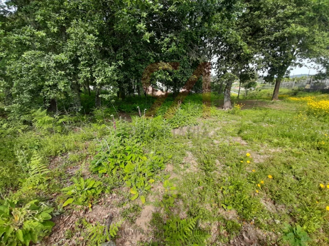 Terreno para Venda em Nespereira e Casais Foto 2