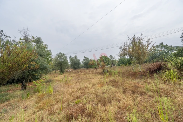 Moradia T6 para Venda em Arosa e Castelões Foto 17