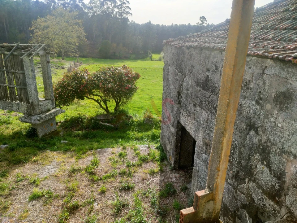 Quinta T4 para Venda em Ardegão, Arnozela e Seidões Foto 17
