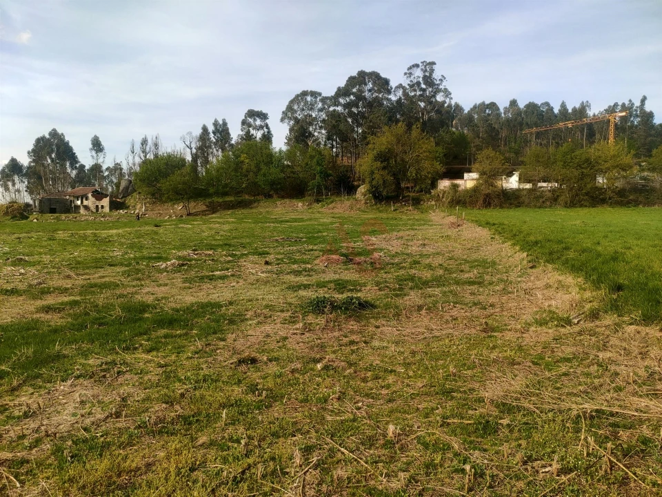 Quinta T4 para Venda em Ardegão, Arnozela e Seidões Foto 25