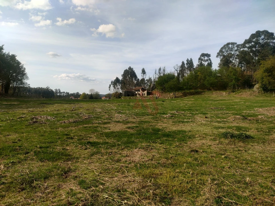 Quinta T4 para Venda em Ardegão, Arnozela e Seidões Foto 23