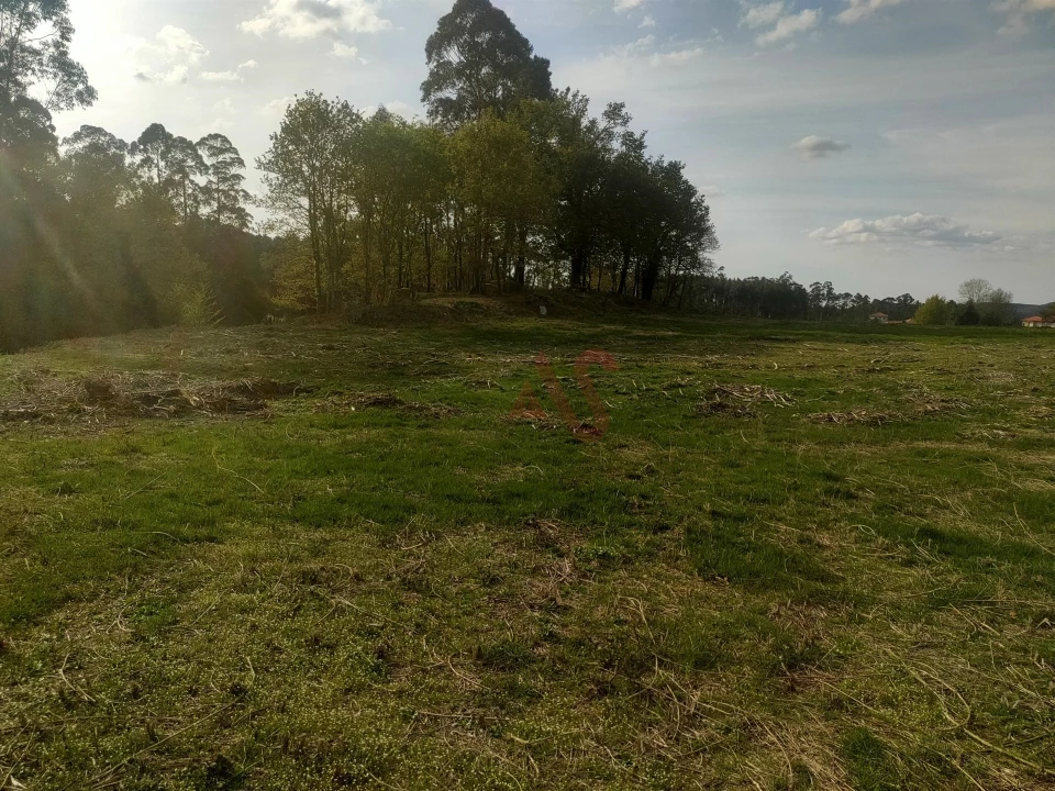 Quinta T4 para Venda em Ardegão, Arnozela e Seidões Foto 24