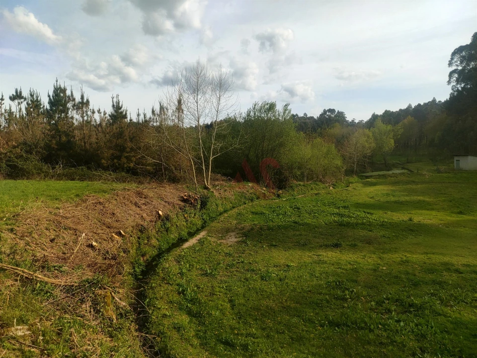 Quinta T4 para Venda em Ardegão, Arnozela e Seidões Foto 21