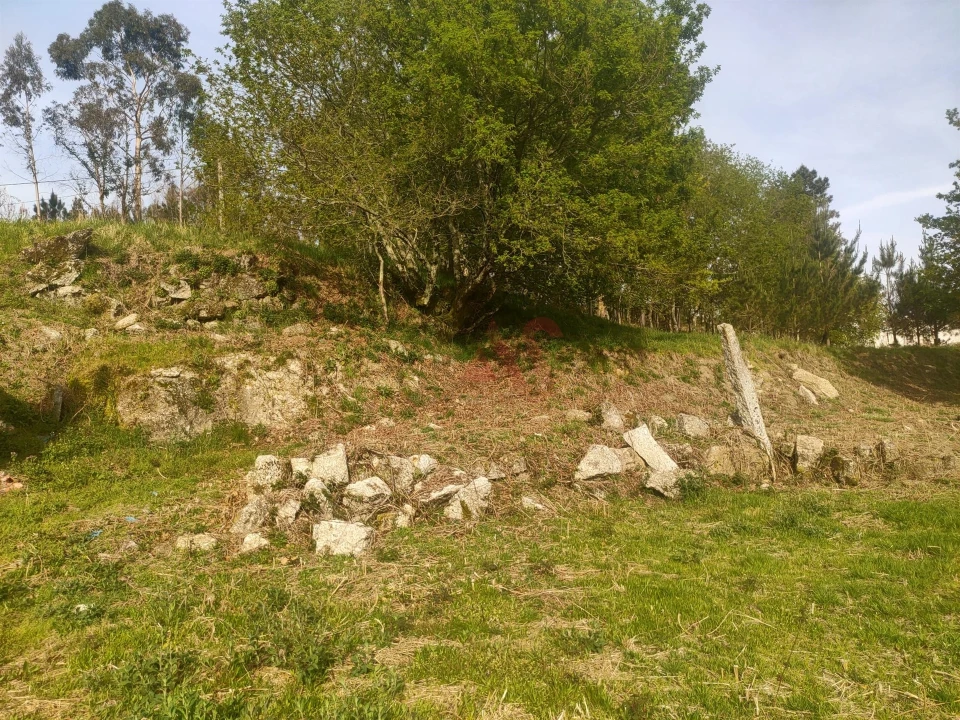 Quinta T4 para Venda em Ardegão, Arnozela e Seidões Foto 18