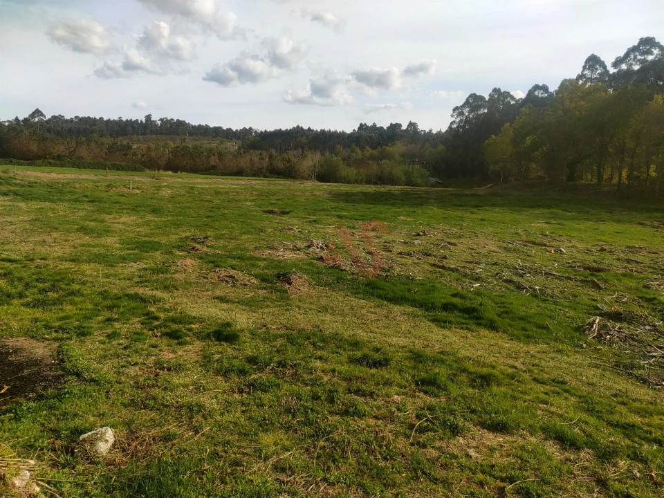 Quinta T4 para Venda em Ardegão, Arnozela e Seidões Foto 10