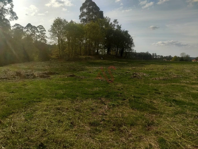 Quinta T4 para Venda em Ardegão, Arnozela e Seidões Foto 24